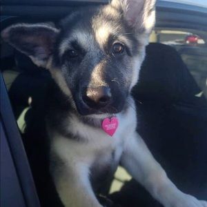 TRADE FOR LATASHA1986